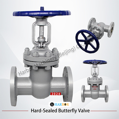 Valvola di porta industriale a pressione manuale Z41H-16/40/64/100C per supporti a temperatura normale