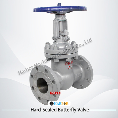 Valvola di porta industriale a pressione manuale Z41H-16/40/64/100C per supporti a temperatura normale