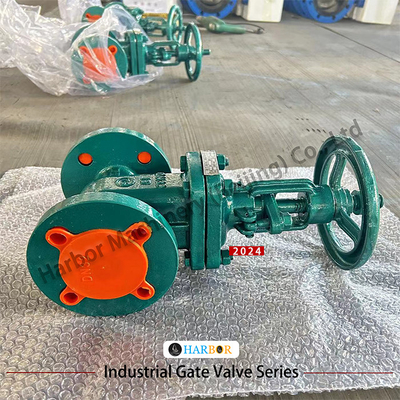 Valvola di sfilata di porta di acciaio fuso PTFE rivestita con flange manuale Z41F46-16C per il trattamento dell'acqua