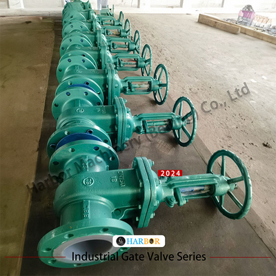Valvola di sfilata di porta di acciaio fuso PTFE rivestita con flange manuale Z41F46-16C per il trattamento dell'acqua