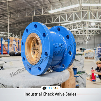 H42H-16/25C Valvola di controllo a flange verticale monodirezionale in acciaio fuso con supporto OEM