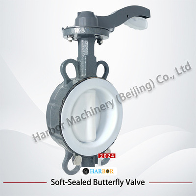 Generale PTFE completamente rivestito in acciaio fuso a doppia azione manico Wafer Butterfly Valve D71F4-16C