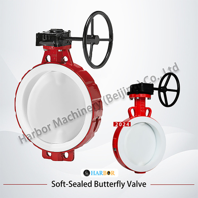 Valvola a farfalla a turbina con rivestimento in PTFE D371F46-16C con resistenza agli acidi e agli alcali